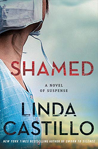 Shamed : a Kate Burkholder novel