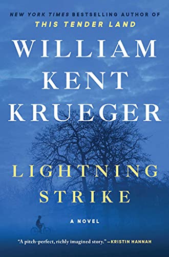 Lightning strike : a novel