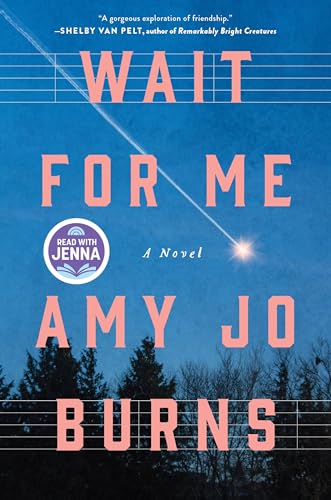Wait for me : a novel /